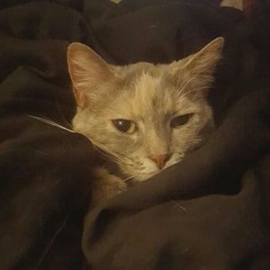 Meet your Posher, Eve